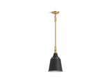 Varla™ 9" pendant