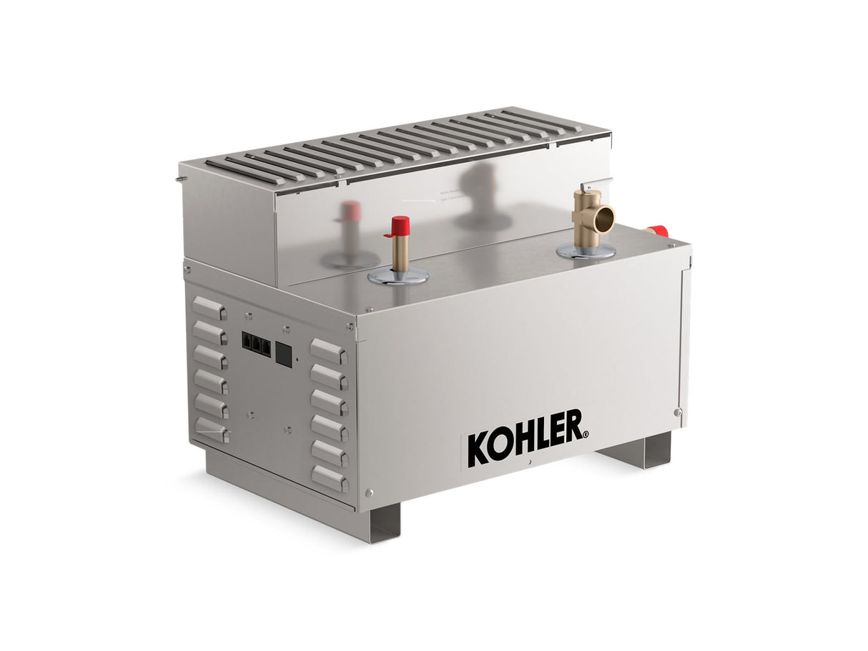 Invigoration® Series 13 kW steam generator