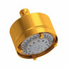 4 inch 5-Function Showerhead