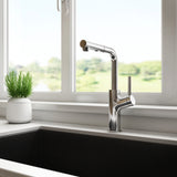 Kalia MASIMO surfer pull-out kitchen faucet installed at a sink by a window