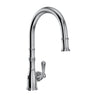 Georgian Era Pull-Down Touchless Kitchen Faucet