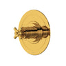 Armstrong 3/4" Thermostatic Trim Without Volume Control