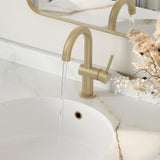 Single Handle 10 1/8" Pull Down Bathroom Faucet