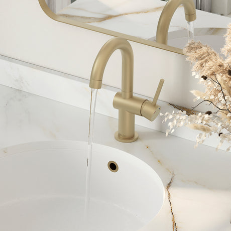 Single Handle 10 1/8" Pull Down Bathroom Faucet