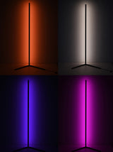 LED Floor Lamp OC54F57B
