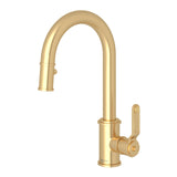 Armstrong Pull-Down Bar/Food Prep Kitchen Faucet