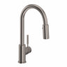 Lux™ Pull-down Bar/food Prep Kitchen Faucet R7519