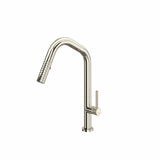 Tenerife™ Pull-down Kitchen Faucet With U-spout Te56d1lm