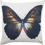 Butterfly 20 W x 20 H x 5 D
