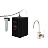 Armstrong Hot Water and Kitchen Filter Faucet Kit