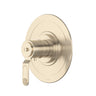 Armstrong 3/4 inch Thermostatic Trim Without Volume Control