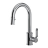 Armstrong Pull-Down Bar/Food Prep Kitchen Faucet