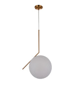 Single Pendant Lighting DU73L