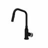 Campo™ Pull-down Kitchen Faucet Cp56d1iw
