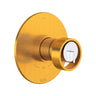 Eclissi™ 2-way Type T/P (thermostatic/pressure balance) coaxial patented trim