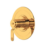 Armstrong 3/4 inch Thermostatic Trim Without Volume Control