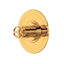 Armstrong 3/4" Thermostatic Trim Without Volume Control