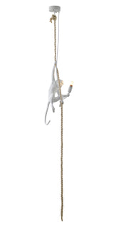Pendant DLS76P9W