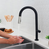 STYLISH Kitchen Sink Faucet Single Handle Pull Down Dual Mode Lead Free
