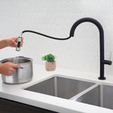 STYLISH Kitchen Sink Faucet Single Handle Pull Down Dual Mode Lead Free