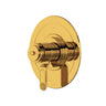 Armstrong 2-way Type T/P (thermostatic/pressure balance) coaxial patented trim