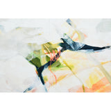 Abiola 48" W x 36" H x 1.5" D