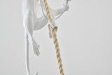Pendant DLS76P9W