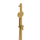 Handshower rail