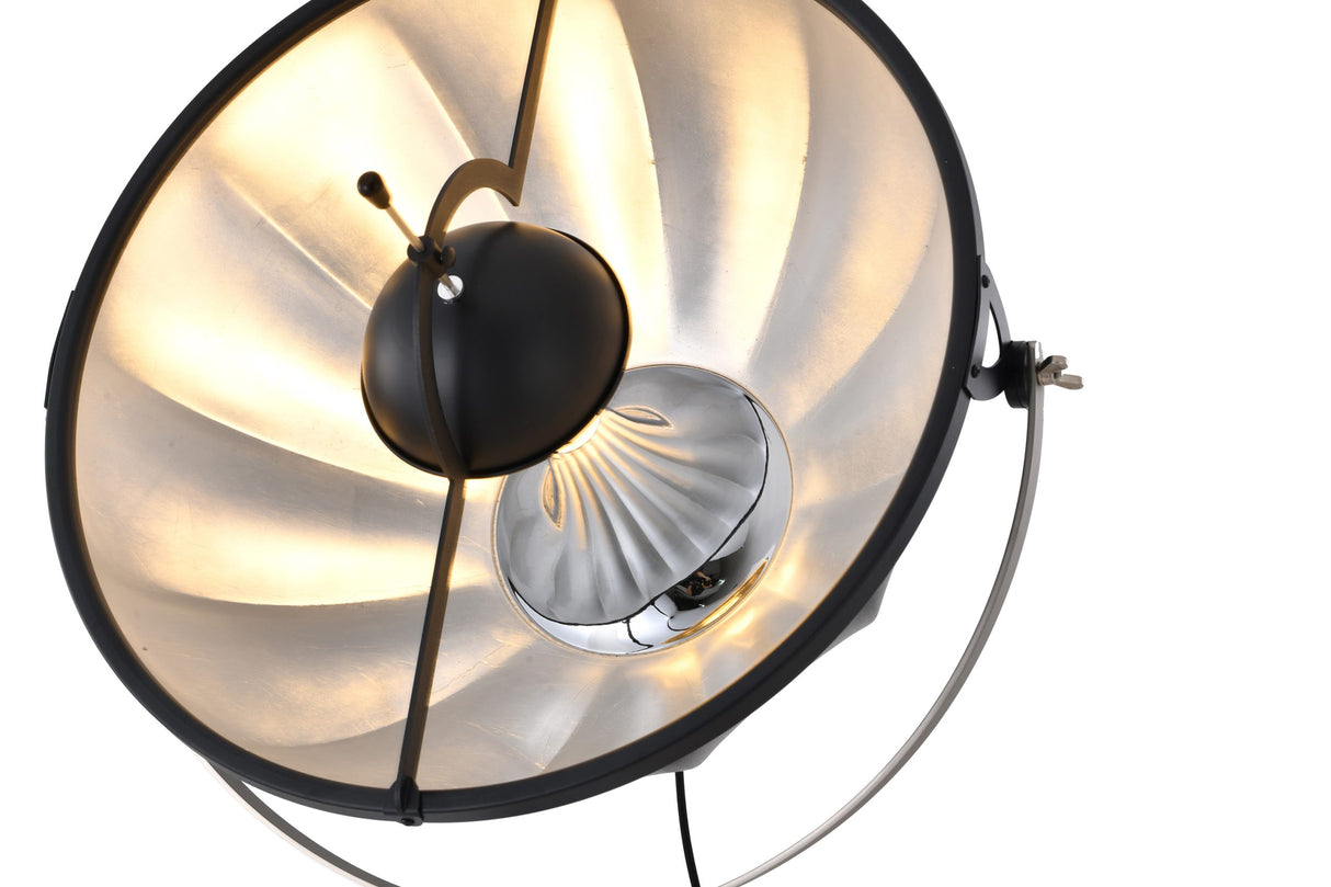 Floor Lamp DLS75F23B
