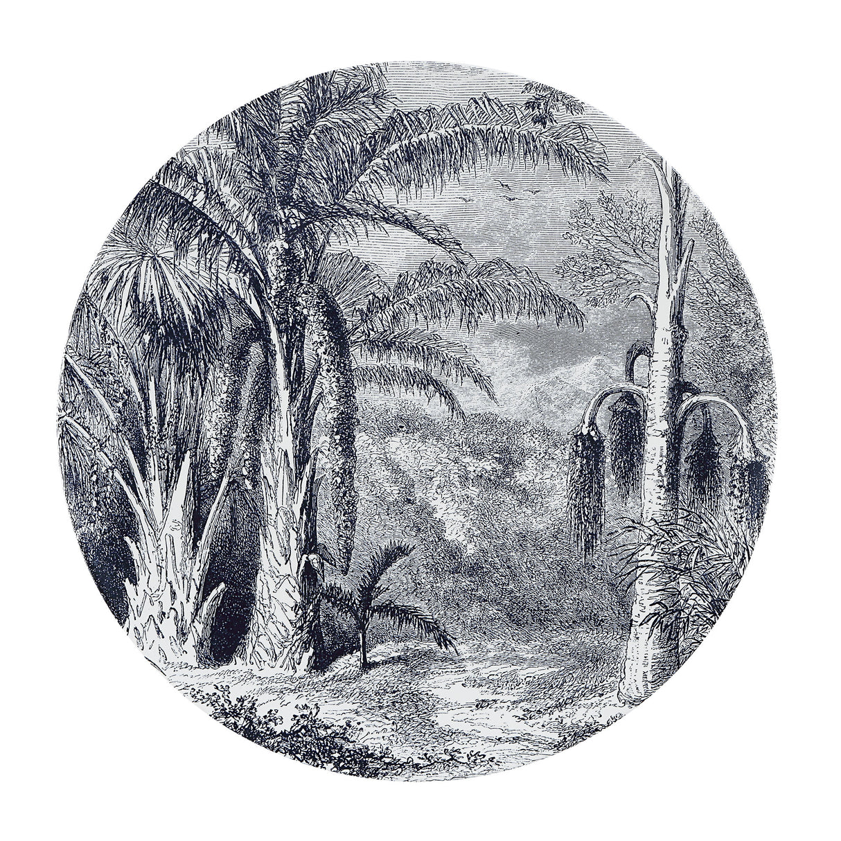 MALIYA 16/12/12/8/6" W x 1.5/1/1/0.75/0.5" H x 16/12/12/8/6" D