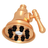 4" Multi-function Showerhead Wi0123