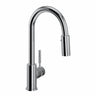 Lux™ Pull-down Bar/food Prep Kitchen Faucet R7519