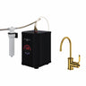 Armstrong Hot Water and Kitchen Filter Faucet Kit