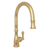 Georgian Era Pull-Down Kitchen Faucet