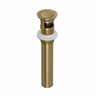 Push Drain With Overflow 0127dof
