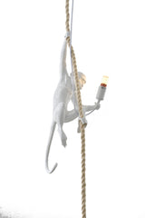 Pendant DLS76P9W