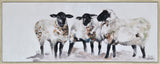 MOUTONS 60" W x 24" H x 1.5" D