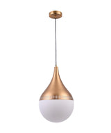 Single Pendant Lighting DU141P11G