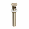 Push Drain With Overflow 0127dof