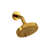 2-jet Showerhead with arm