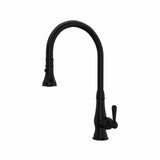 Patrizia™ Pull-down Kitchen Faucet A3420lm-2