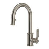 Armstrong Pull-Down Bar/Food Prep Kitchen Faucet