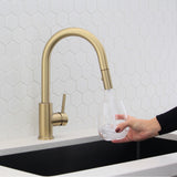 Single Handle Pull Down Kitchen Faucet