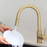 Single Handle Pull Down Kitchen Faucet