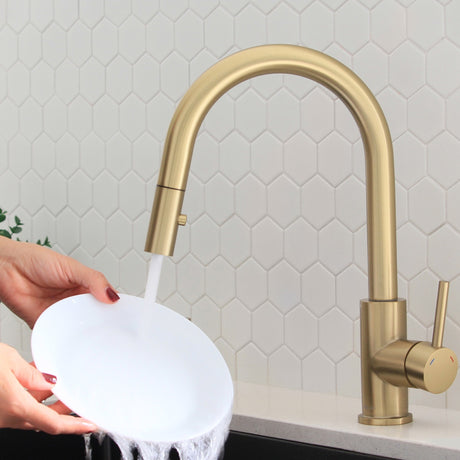 Single Handle Pull Down Kitchen Faucet