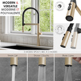 Single Handle with Spout Hose Pull Out Three Modes Kitchen Faucet