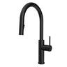SPECIFIK - Single Handle Kitchen Faucet Pull-Down Dual Spray