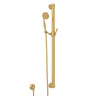 Handshower Set With 39" Grab Bar And Single Function Handshower 1272e