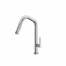 Tenerife™ Pull-down Kitchen Faucet With U-spout Te56d1lm