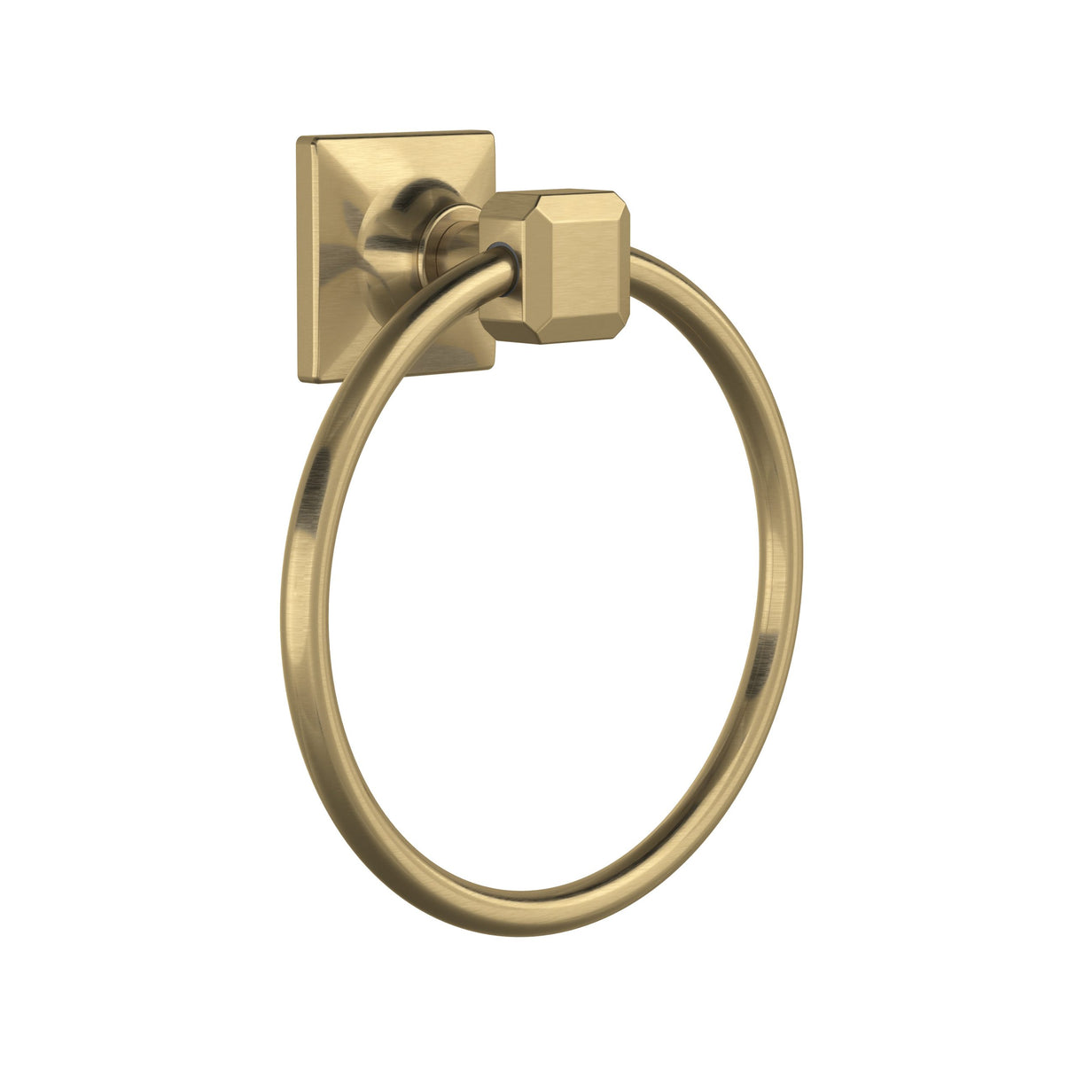 Apothecary™ Towel Ring